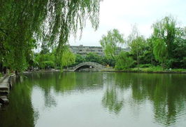北湖公园沙滩景点介绍，北湖公园多大