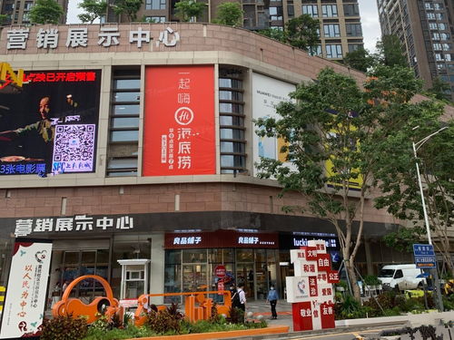 云轩是什么意思，云轩柳芊芊