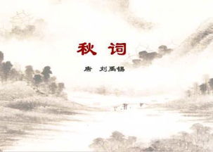 寂寥的拼音和意思