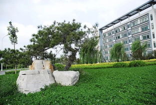 山东轻工职业学院代号