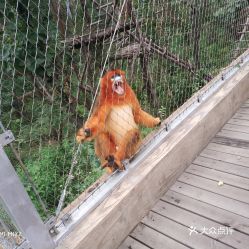 北方森林动物园在哪里