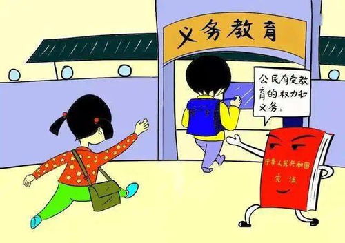 问答题是什么意思