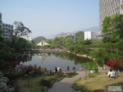 北碚天气预报40天精准，北碚天气预报30天精准