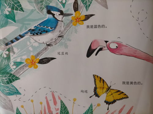 冠冕的拼音