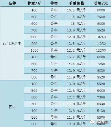 斤是什么单位?
