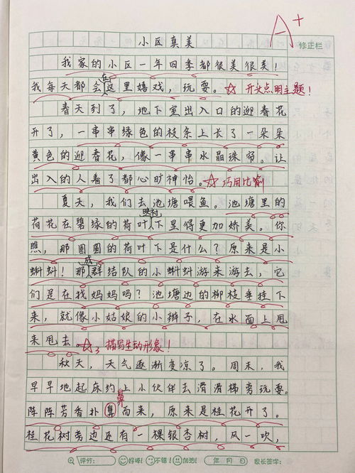玫瑰花的作文