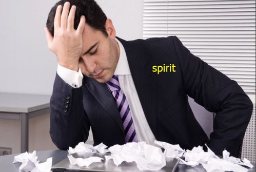 spirit可不可数，spirit可数和不可数