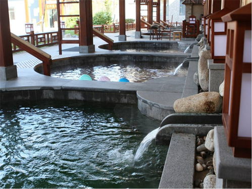 林甸温泉门票多少钱，林甸温泉旅游攻略