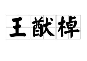棹的拼音组词，短棹的拼音