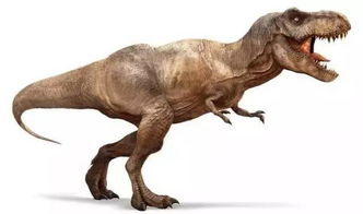 霸王龙英文怎么读dinosaur，道奇霸王龙英文