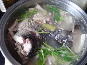 清炖鲤鱼汤多长时间