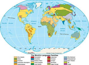 世界语系怎么划分的，世界语系语族分类
