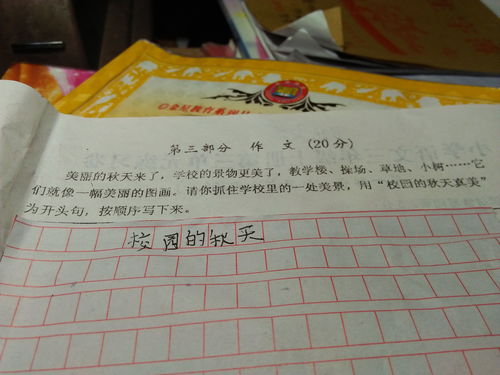 秋天的校园作文400字左右，秋天的校园作文400字初中
