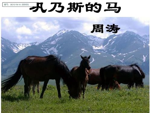 5年级上册 巩乃斯的马 提纲