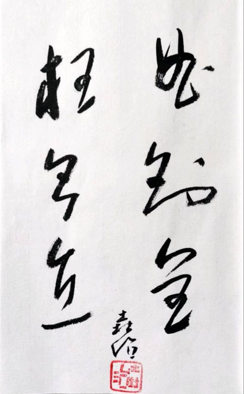 曲则全翻译，曲则全枉则直的感悟