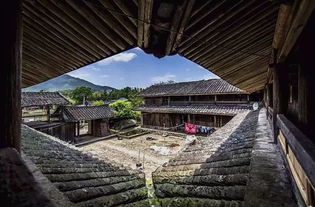 厦门塔头是哪个区
