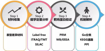 水管的4分、6分指什么尺寸