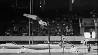 gymnast翻译，gymnasts翻译