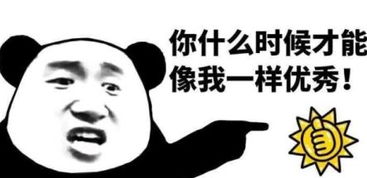 优秀是什么?