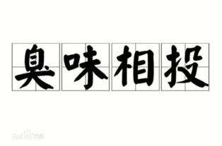 背字成语开头的成语，背字成语一声