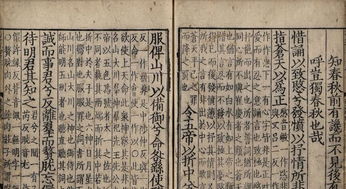 悲歌仰天泪如雨猜一书名
