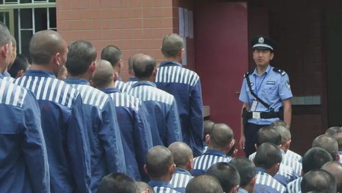 我心中的楷模作文500字，我心中的楷模演讲稿