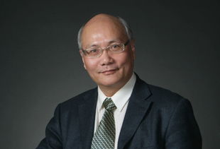 蒋洪拼音怎么写