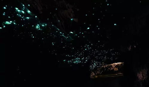 萤火虫打一地名答案(萤火虫打一地名)