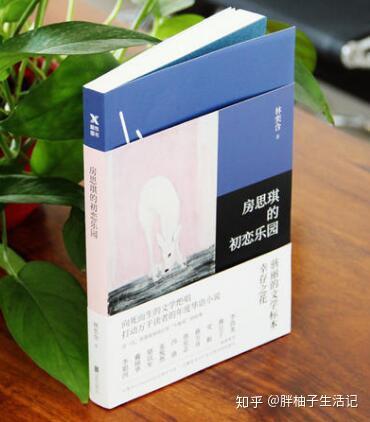 房思琪的初恋乐园读后感1500字，房思琪的初恋乐园读后感300字