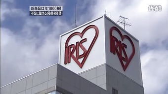 会社 株式会社，会社大冒险