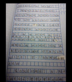 写景作文600字初中生优秀作文夏天，写景作文600字初中生优秀作文秋天