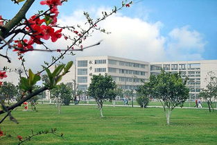 四川外语学院成都学院宿舍，四川外语学院成都学院录取分数线