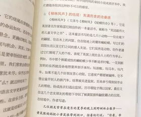 作文书是什么,