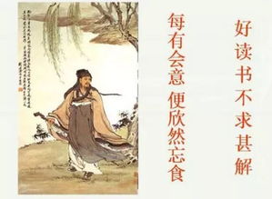 不求甚解怎样造句