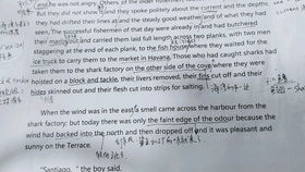 老人与海英语读后感300字，老人与海英语读后感200字左右