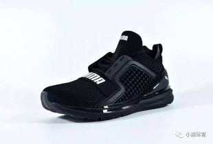 puma是什么意思