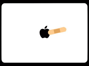 在所不辞的意思解释，在所不辞的辞