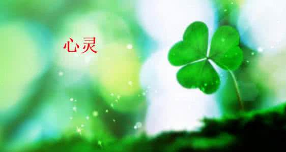 一个人的天荒地老是什么电视剧的歌，一个人的天荒地老歌曲