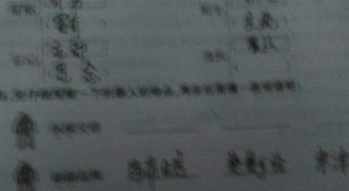 两个字偏旁相同的词语怎么写，丬这个偏旁读什么
