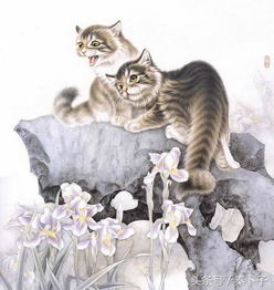 画猫怎么画，画猫视频
