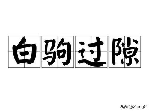 白字的四字成语大全