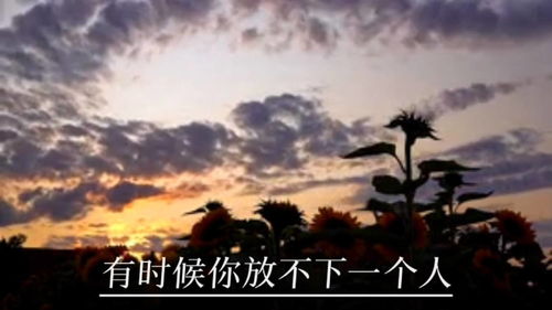 却还是放手让你走，放手让你走歌曲