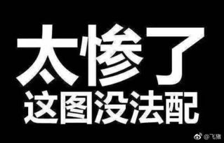 易道用车，易道是什么意思