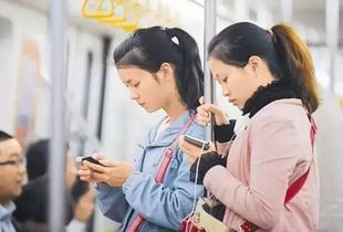 bus英语，bus英标怎么写