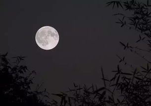 明月夜留别带拼音，明月夜留别拼音版古诗