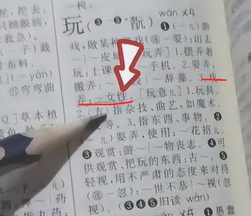 用曝组词