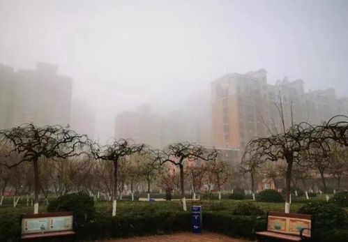 霾的拼音，雾霾的拼音怎么写的拼