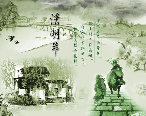 流水落花闻子规是什么意思，杨花落尽子规啼子规是什么意思