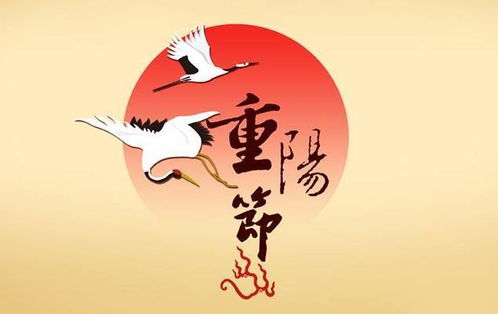 月初是指几号到几号?