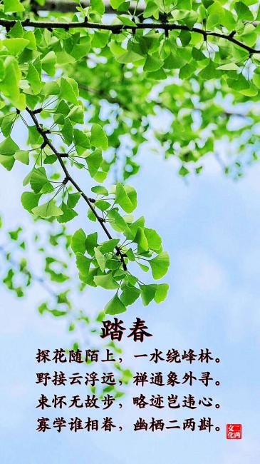 踏春诗句自创，踏春诗句人间理想